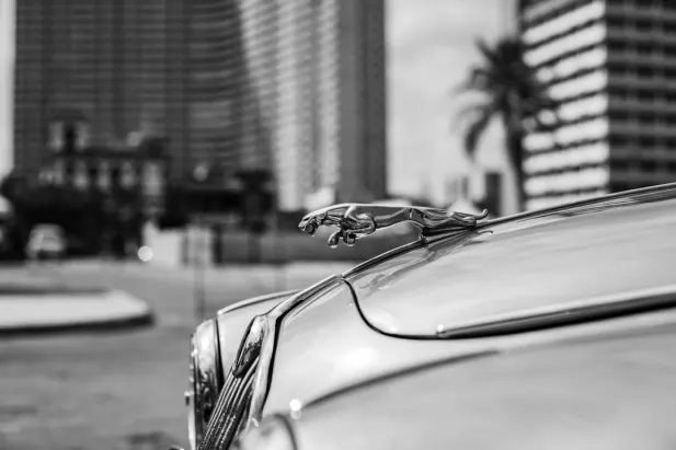 Казино Лоял Бет Android/iOS приложение